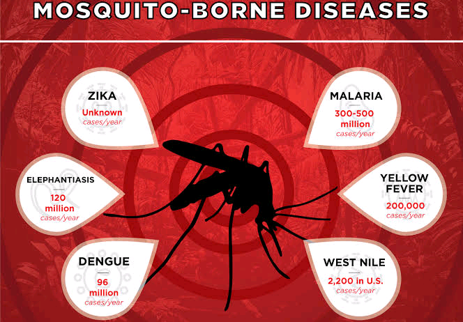 Why are mosquito-borne diseases becoming increasing risk in Europe?