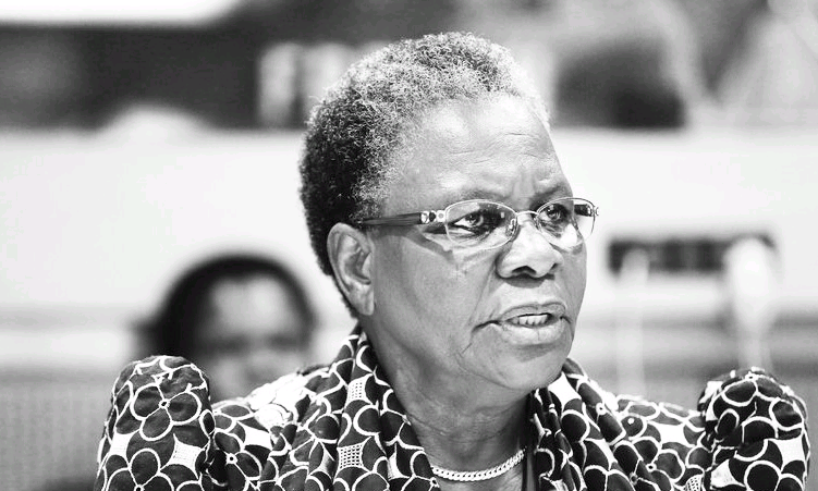Namibia engaging UK on visa rules