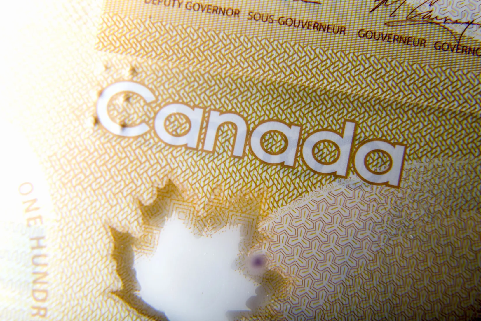 Canadian tech firms lobby for open banking